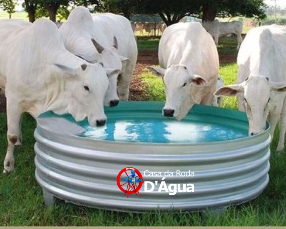 bebedouro australiano